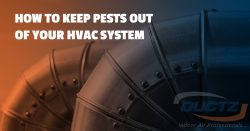 How to Keep Pests Out of Your HVAC System