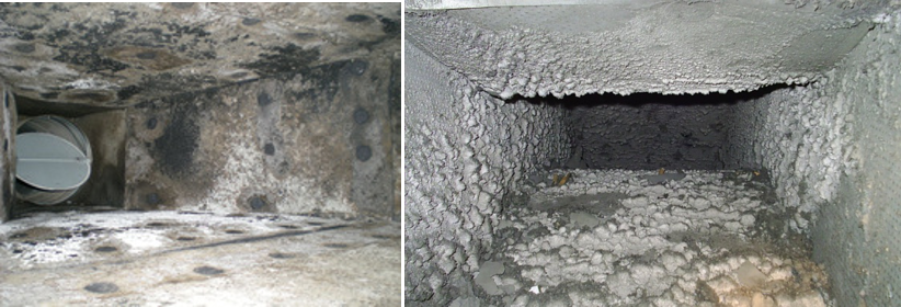 MICROBIAL CONTROL DUCT CLEANING PROCESS